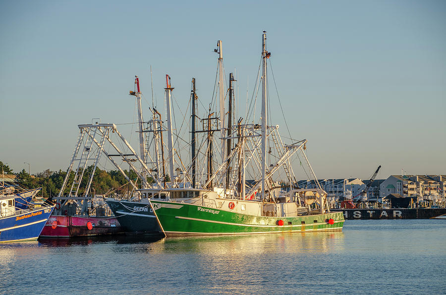 Wildwood New Jersey Fishing Boats Photograph by Bill Cannon