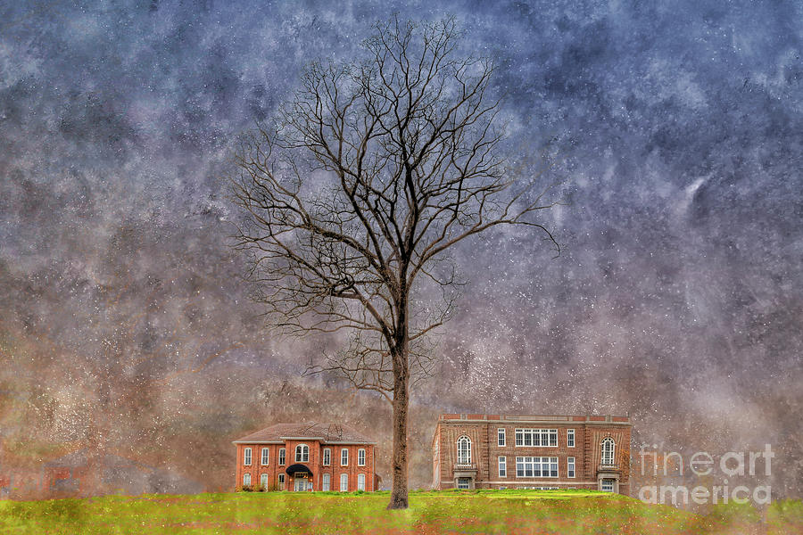University Photograph - Will Mayfield College Campus by Larry Braun