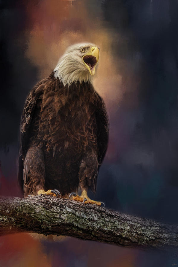 Eagle Photograph - Will Someone Please Bring Me Coffee by Jai Johnson