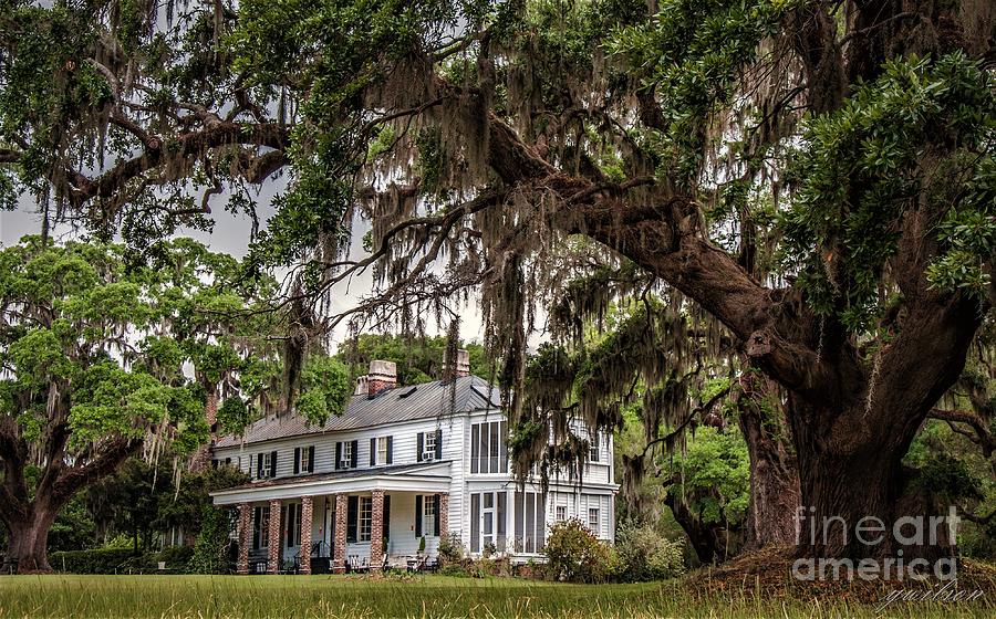 Will Town Bluff Plantation Home Photograph by Yvette Wilson | Fine Art