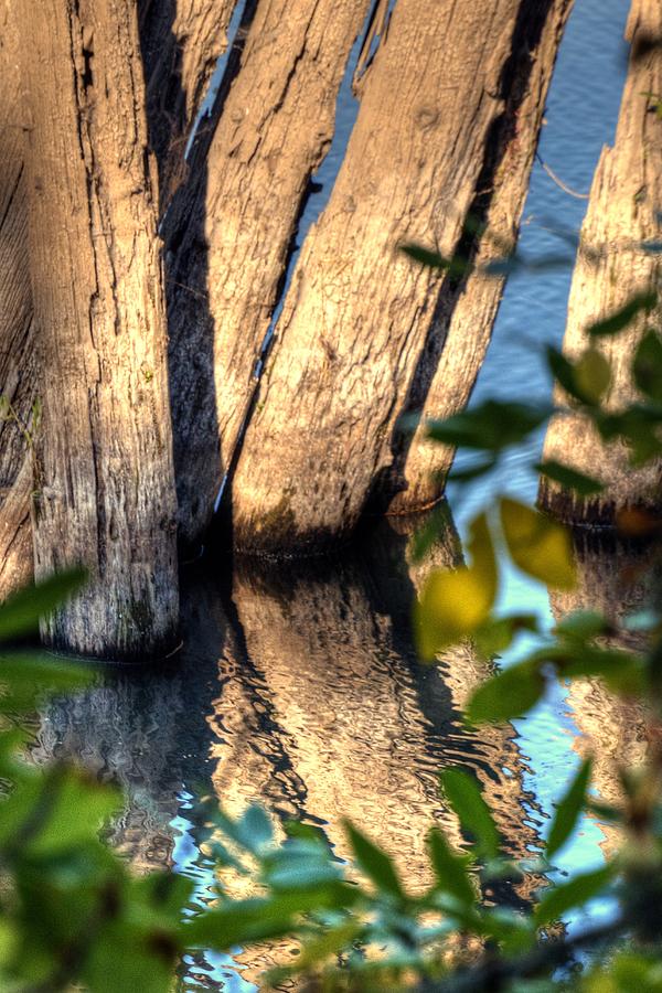 Willamette River Pilings 3796 Photograph by Jerry Sodorff