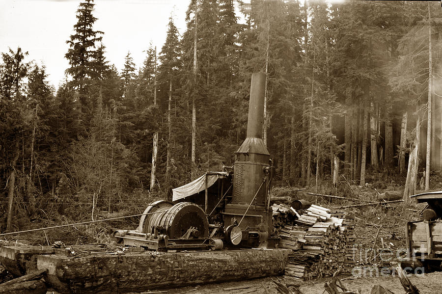 Forestry Photograph - Willamette steam donkey logging circa 1915 by Monterey County Historical Society