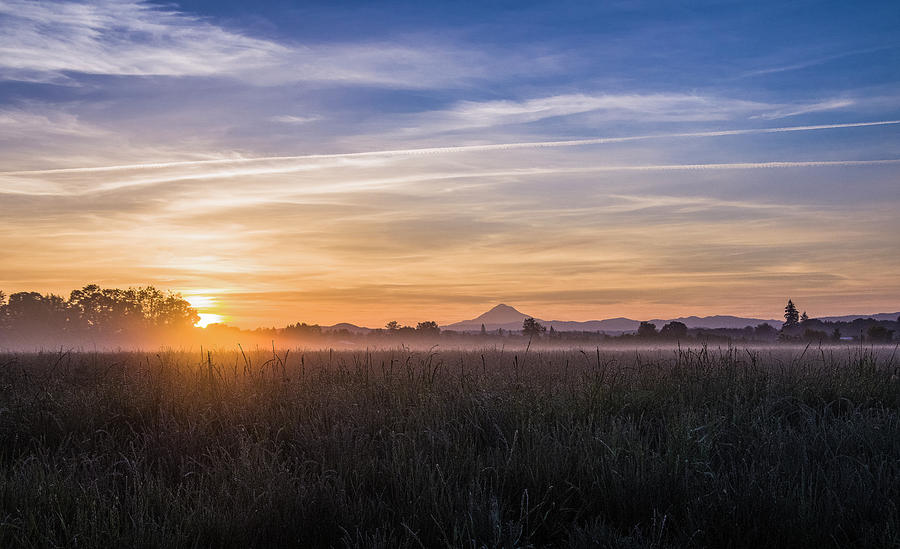 Willamette Valley Sunrise Photograph by Steven Clark