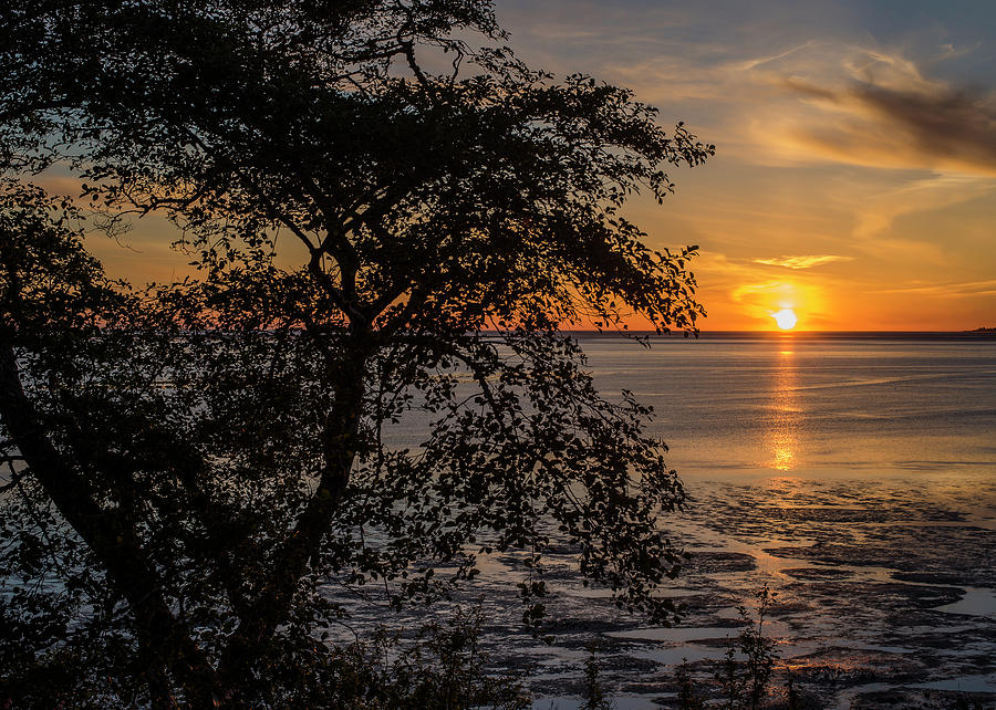 Willapa Bay Sunset Photograph by Robert Potts