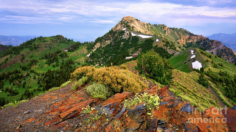 Willard Peak Photograph by Roxie Crouch