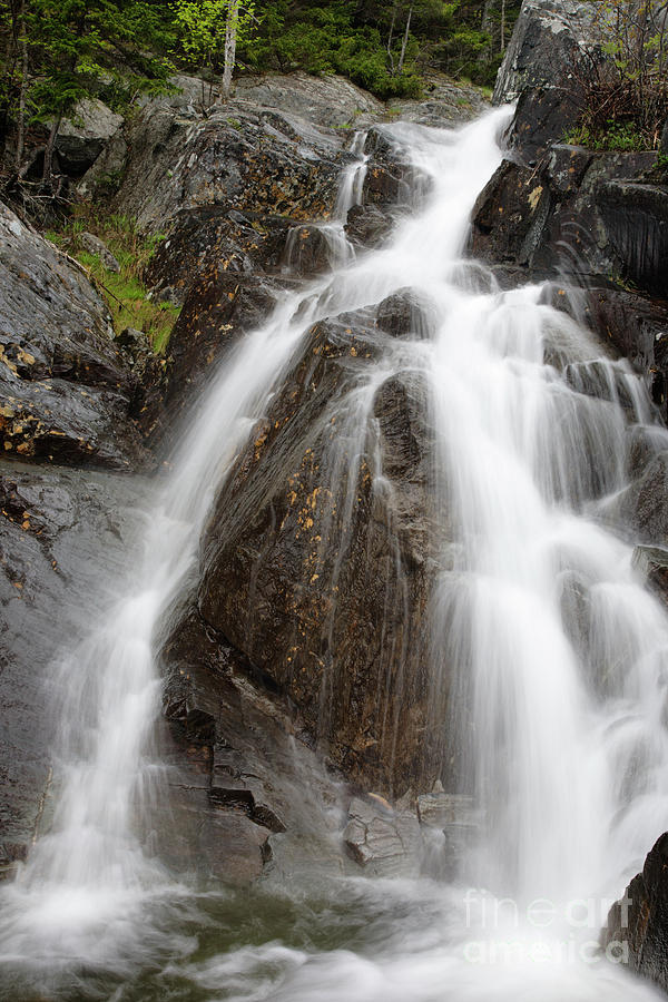 Willey Brook Falls - White Mountains New Hampshire USA Photograph by Erin Paul Donovan