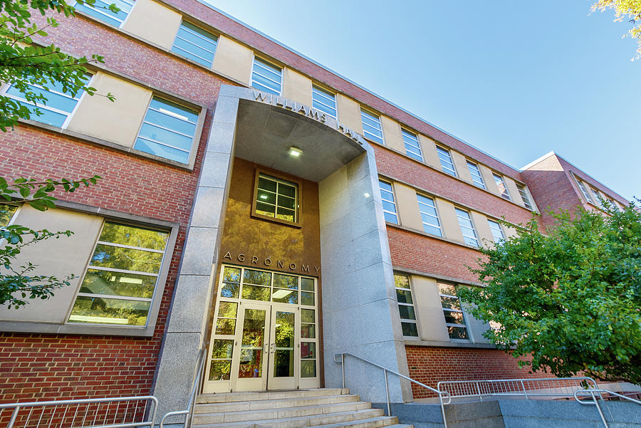 Williams Hall at NC State University Photograph by Bryan Pollard | Fine ...