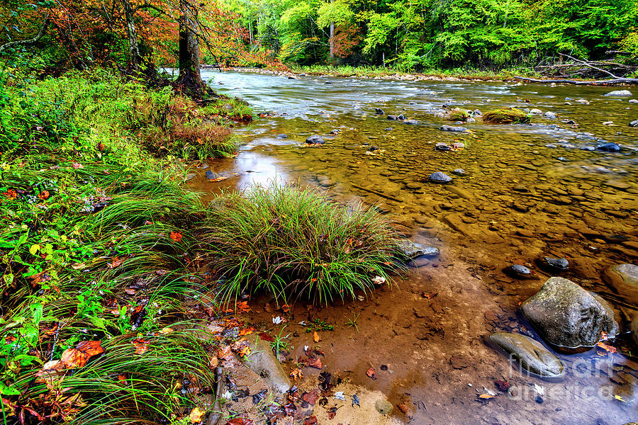 Williams River Early Autumn Photograph by Thomas R Fletcher