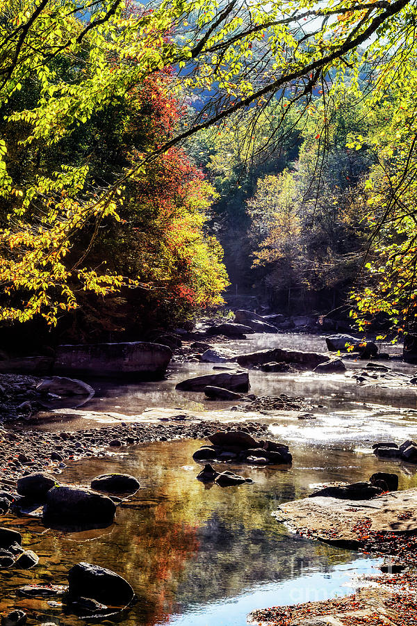 Williams River in Autumn Photograph by Thomas R Fletcher