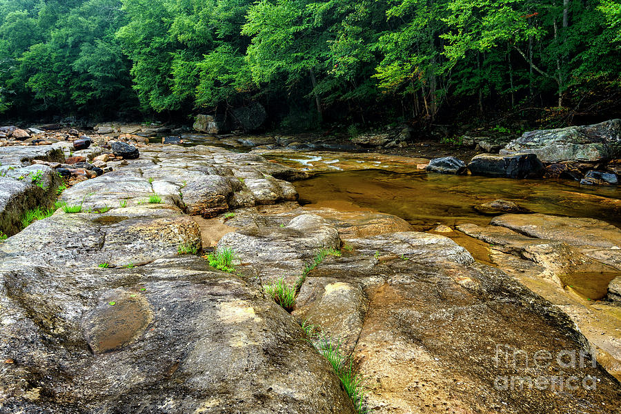 Williams River on the Rocks Photograph by Thomas R Fletcher