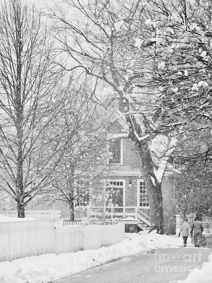 Williamsburg Winter Road Photograph by Rachel Morrison