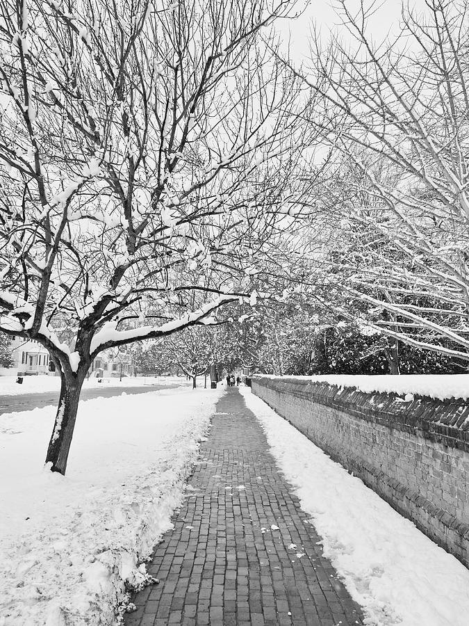 Williamsburg Winter Stroll Photograph by Rachel Morrison