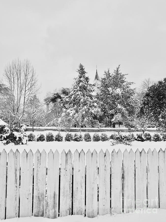 Williamsburg Winter Yard Photograph by Rachel Morrison
