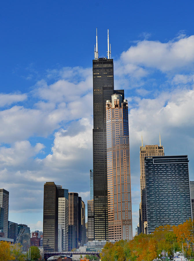 Willis Tower In The Fall Photograph by Jeffrey Hamilton