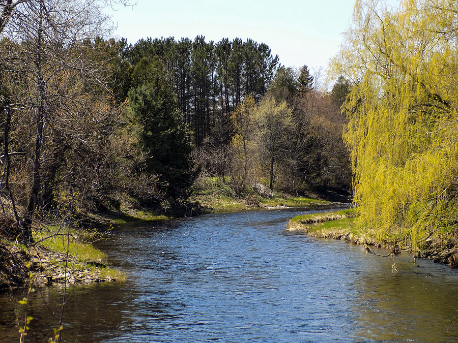 Willow And Water Photograph By William Tasker - Fine Art America