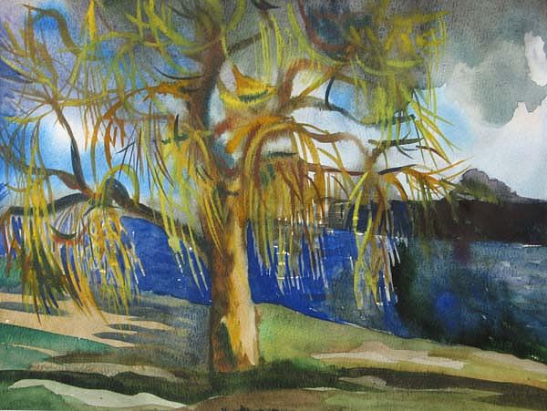 Willow Painting by Anna  Duyunova
