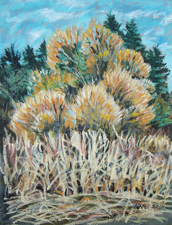 Willow Glow Painting by Lynne Haines