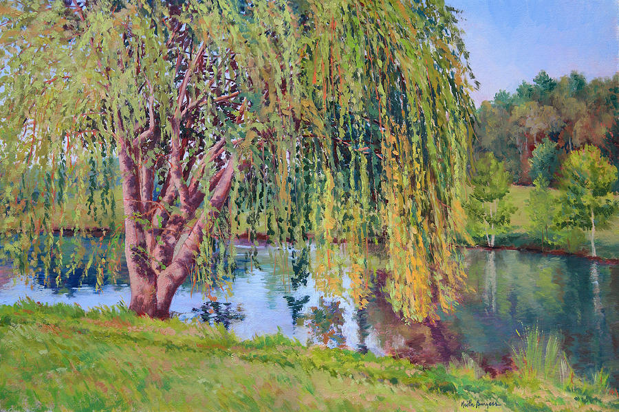 Impressionism Painting - Willow by Keith Burgess