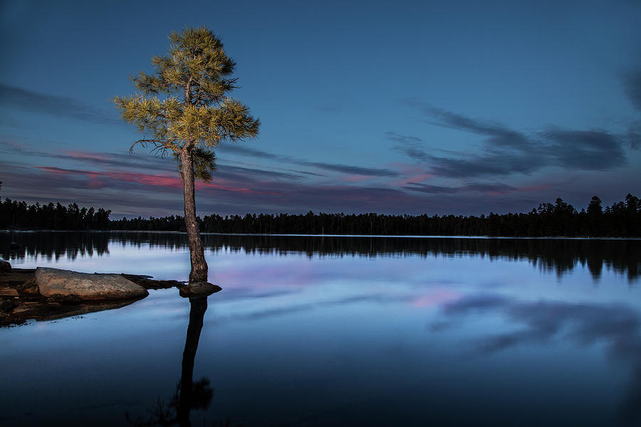 Willow Springs Lake, Arizona Photograph by Dave Wilson Fine Art America