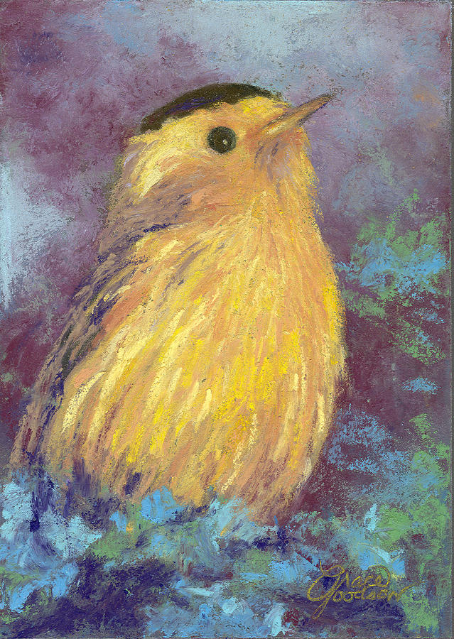 Warbler Painting - Willsons Warbler by Grace Goodson