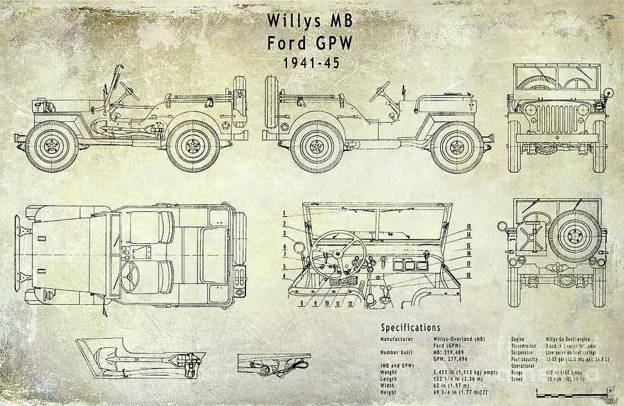 Willys Photograph - Willys Jeep Blueprint by Jon Neidert