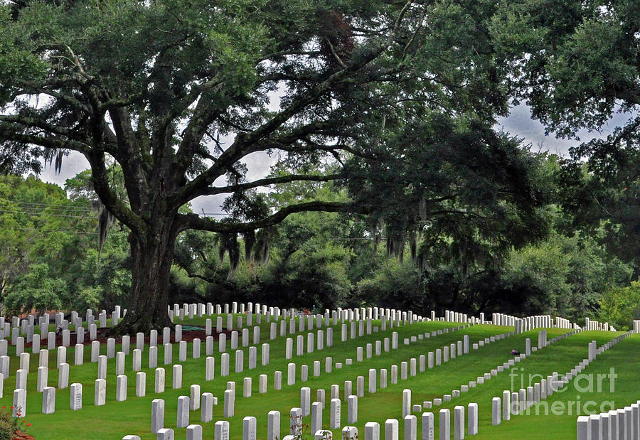 Wilmington National Cemetery Photograph by Lydia Holly