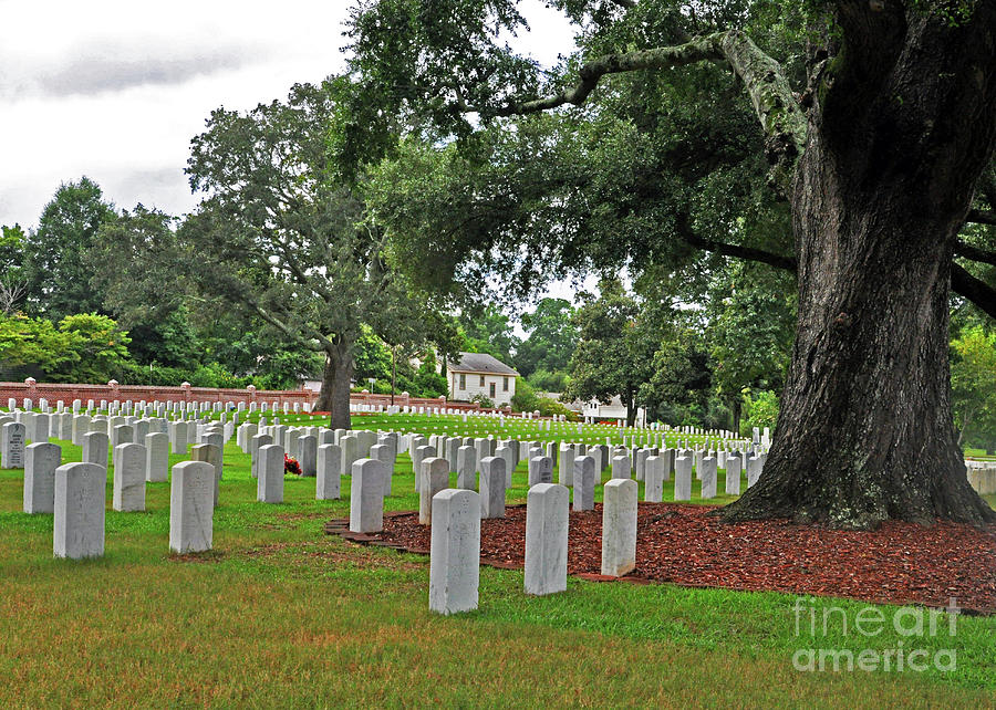 Wilmington National Cemetery No.2 Photograph by Lydia Holly