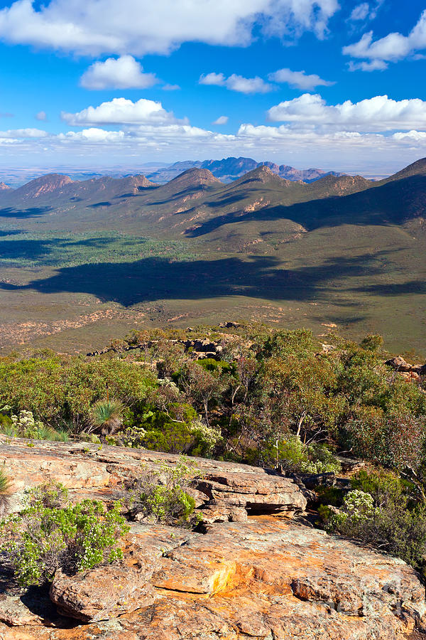 Wilpena Pound with the Elder Range in the background Photograph by Bill  Robinson