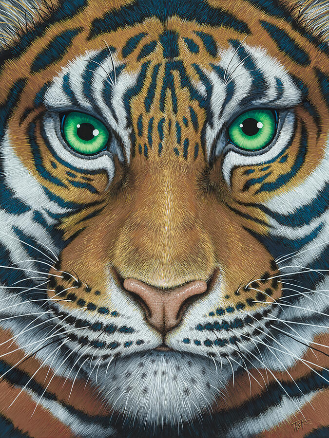 Wils Eyes Tiger face by Tish Wynne