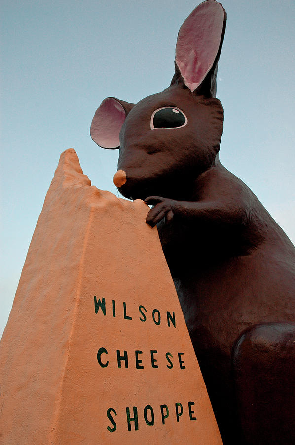 Wilson Cheese Shoppe Michigan Photograph by LeeAnn McLaneGoetz McLaneGoetzStudioLLCcom