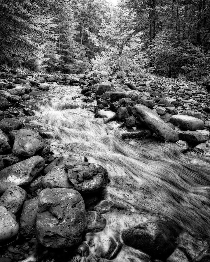 Wilson Creek 2 Photograph by Alan Raasch