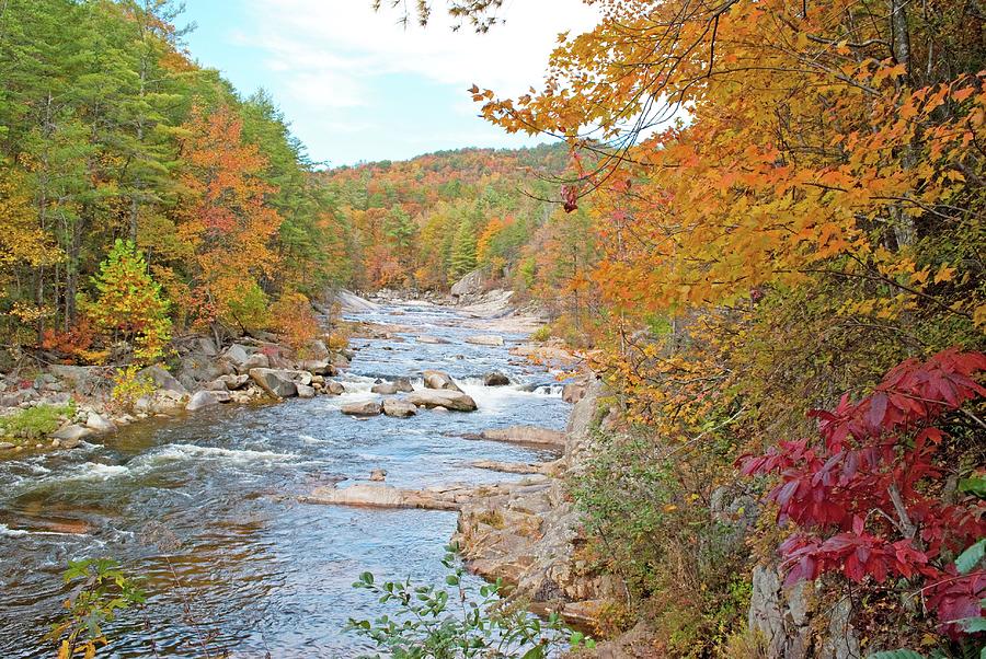 Wilson Creek Red Photograph by Michele Leonard | Fine Art America