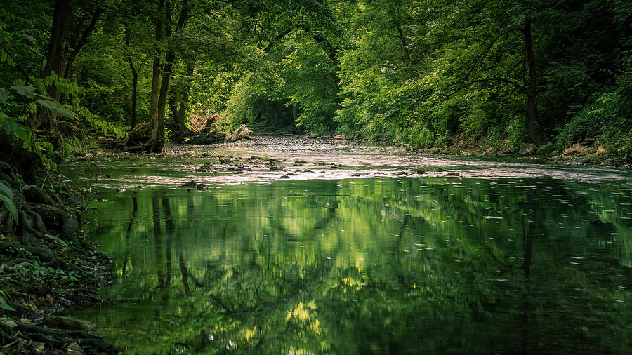 Wilsons Creek Photograph by Allin Sorenson