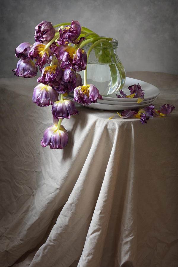 Wilted Bouquet of Tulips Photograph by Nikolay Panov