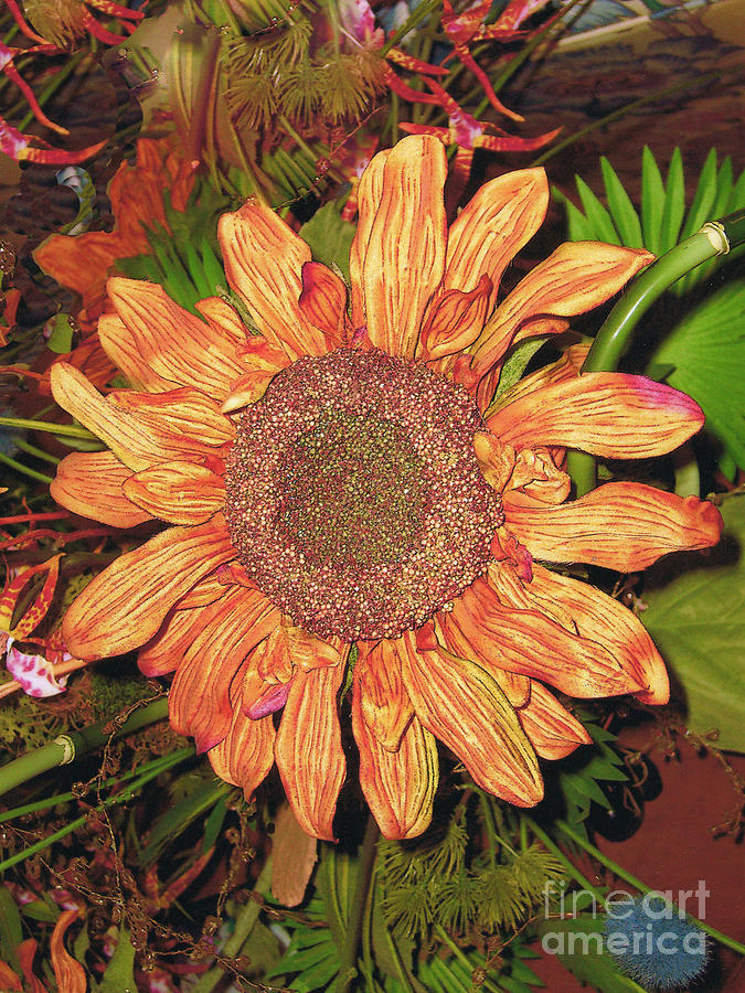 Wilting Sunflower Photograph by Merton Allen Fine Art America