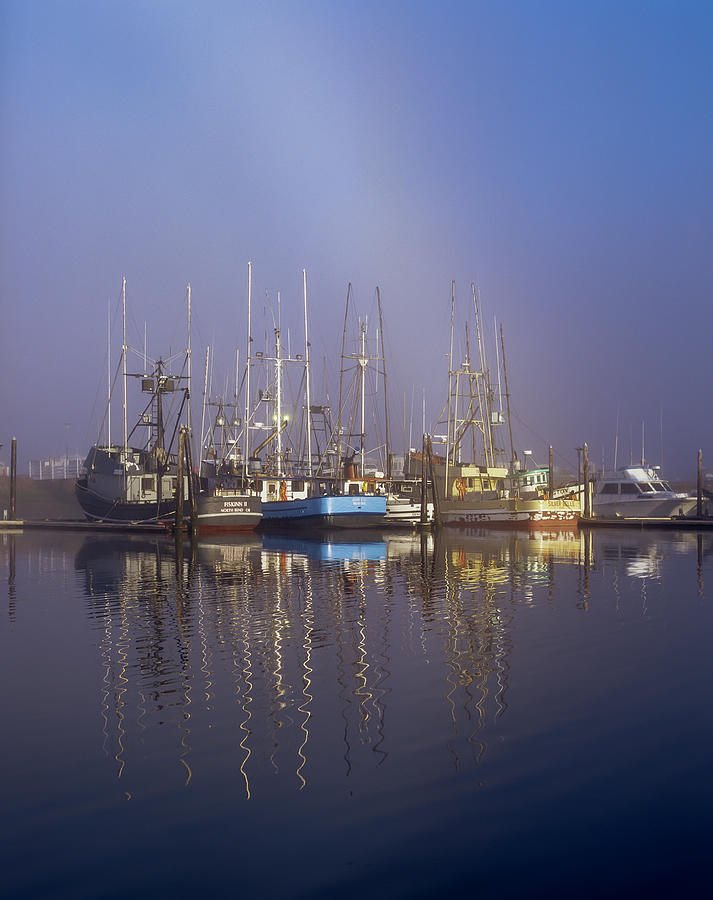 Winchester Bay Fishing Boats Photograph by Robert Potts