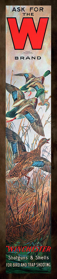 Winchester Bird And Trap Ammo Display Painting by Lynn Bogue Hunt