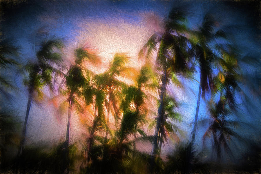 Wind and Palms Digital Art by Celso Bressan