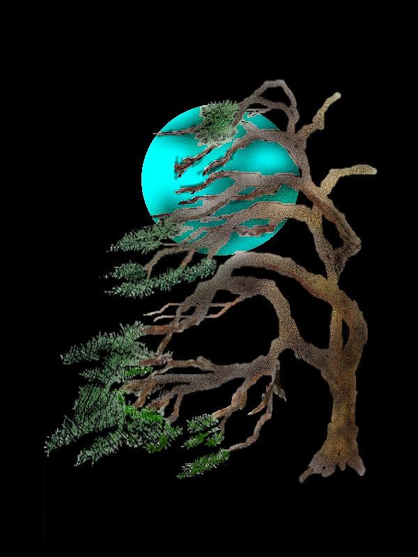 Wind Blown Pine Digital Art by Tony Kroll