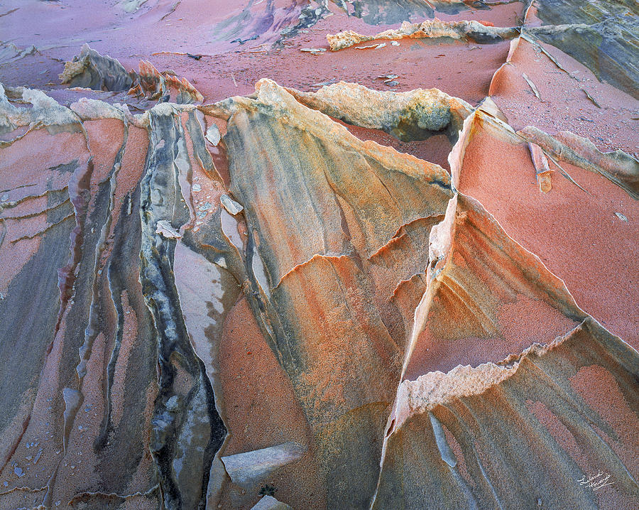 Wind Blown Sand Texture Photograph by Leland D Howard