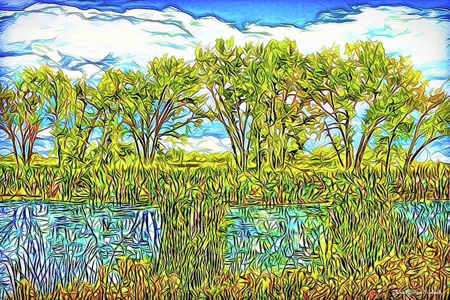 Tree Digital Art - Wind Caresses Pond - Lake Reflections In Boulder County Colorado by Joel Bruce Wallach