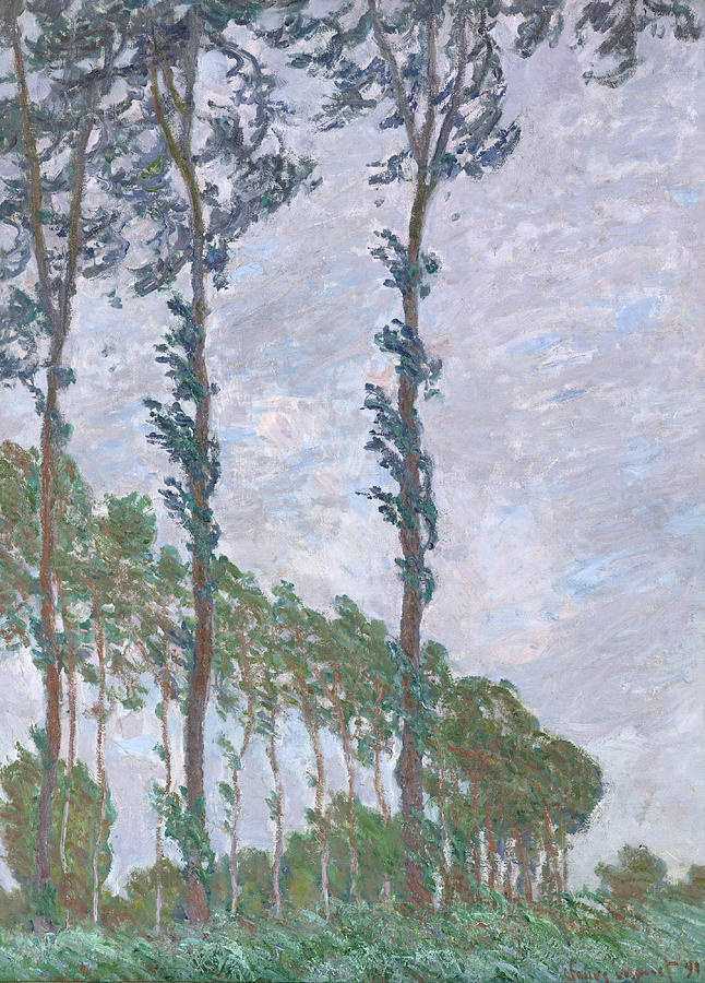 Wind Effect Series of The Poplars Painting by Claude Monet