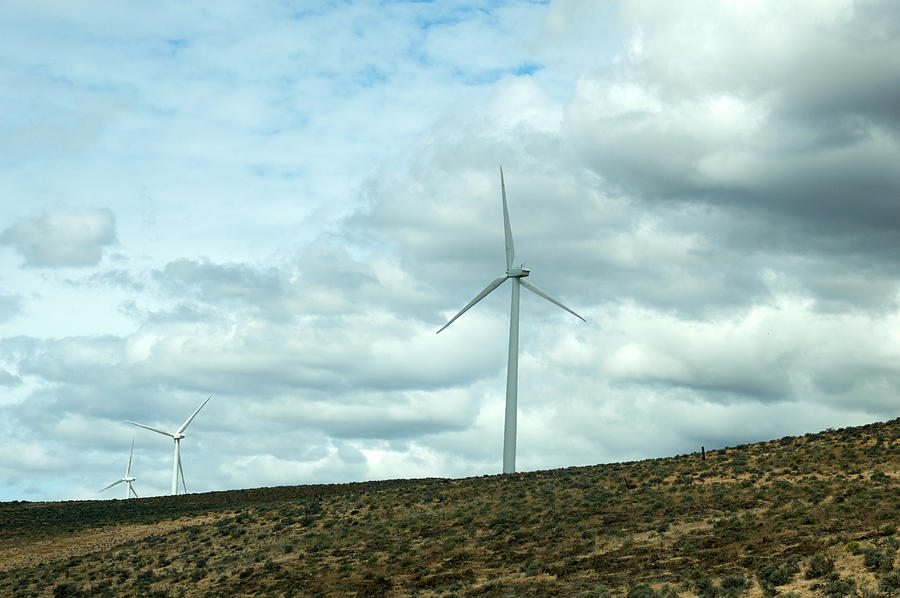 Wind Farm Photograph