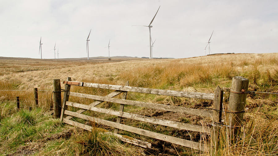 Wind farm on Millers moss. Photograph by Elena Perelman