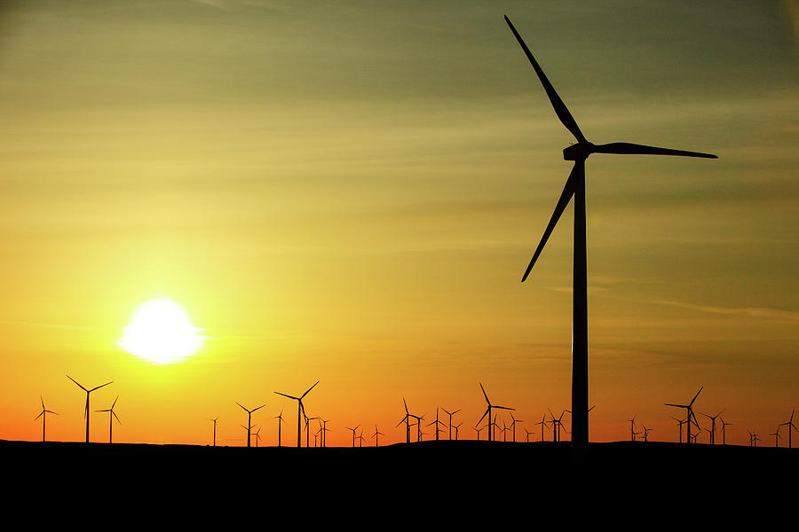 Wind Farm Sunrise Photograph by Todd Klassy