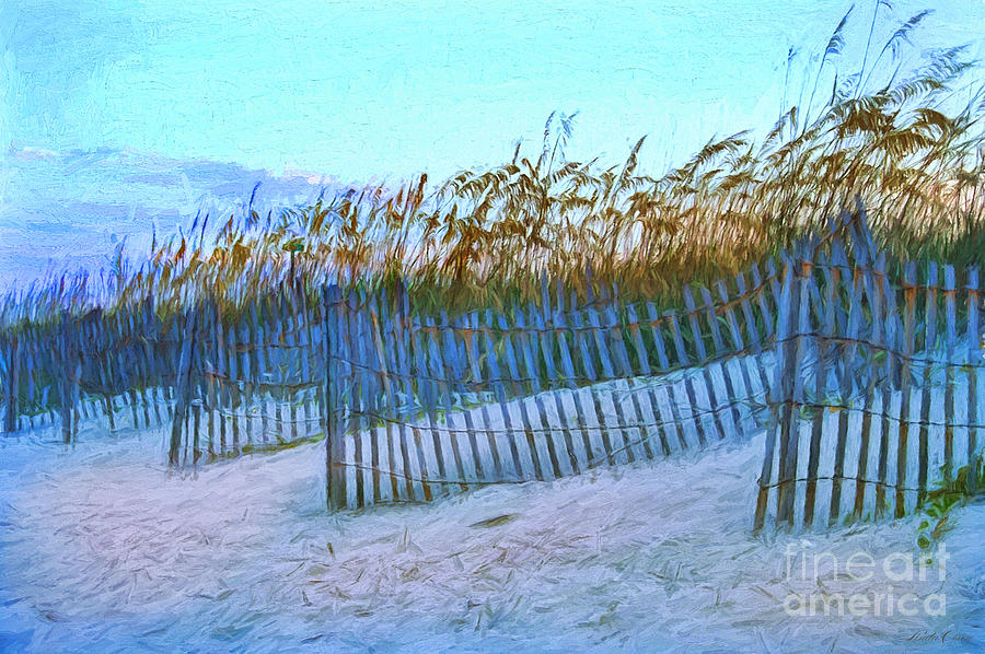 Wind Fence on Beach Digital Art by Linda Olsen