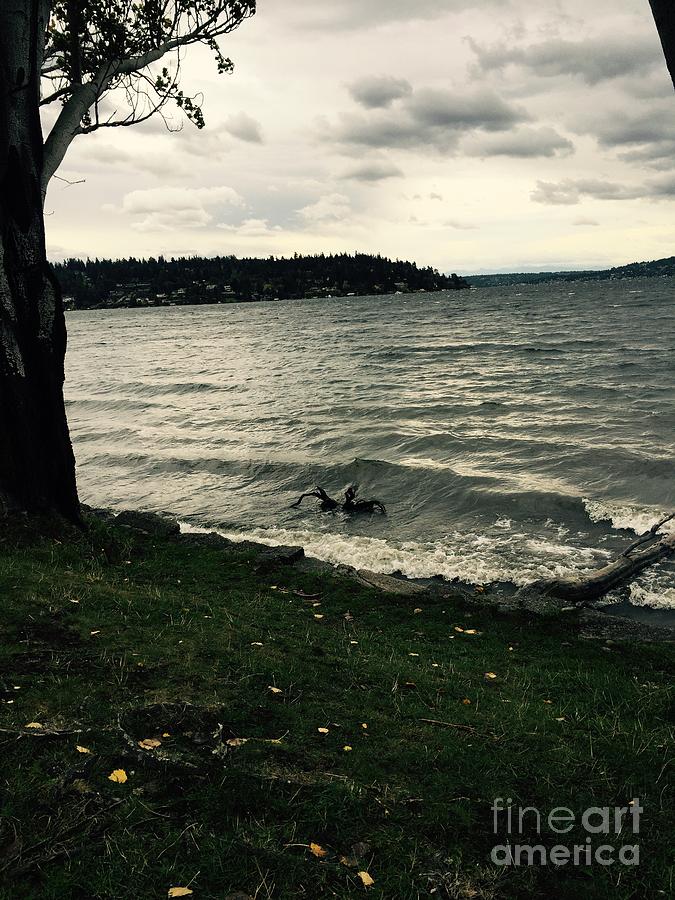 Seattle Photograph - Wind followed by waves by LeLa Becker