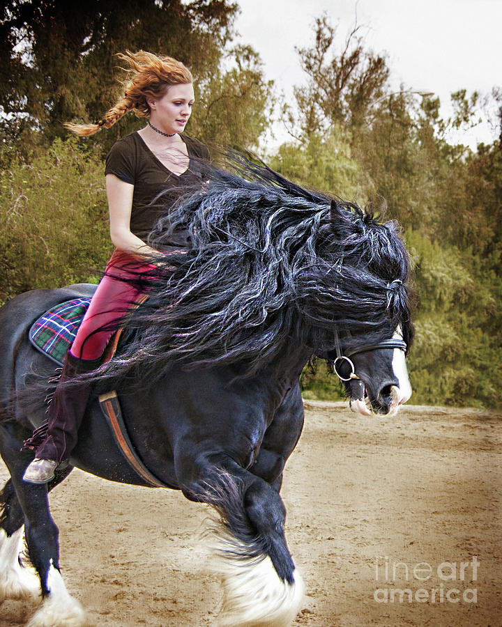 Wind In My Mane Photograph by Jerry Cowart