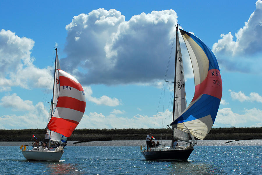 Wind in our Sails. Photograph by Terence Davis