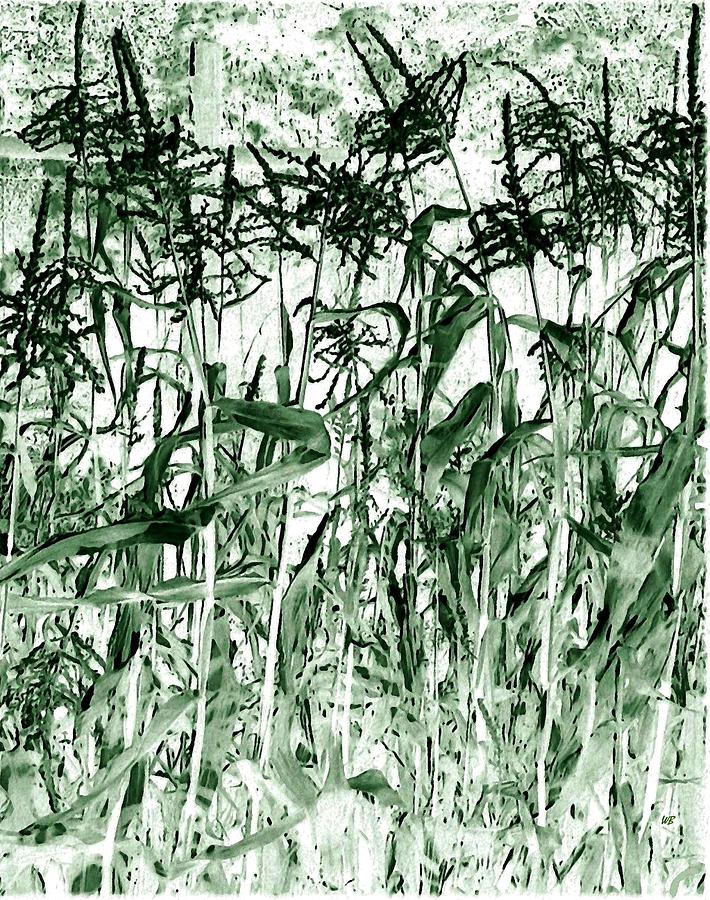 Wind In The Corn Digital Art by Will Borden